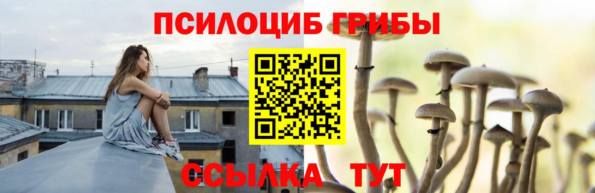 Галлюциногенные грибы GOLDEN TEACHER Усть-Джегута